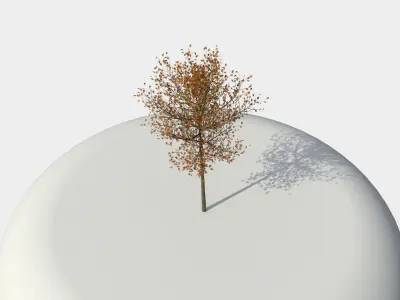 Tree 3D model
