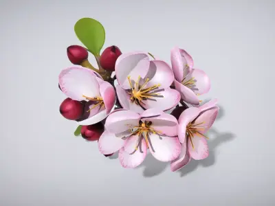 Crabapple Flower Cluster Photorealistic Macro Low-poly 3D model