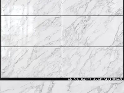 Caesar Anima Bianco Arabesco 300x600 3D model