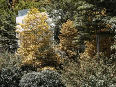 Maxtree Plant Models Vol 11 - Mesh 3D model