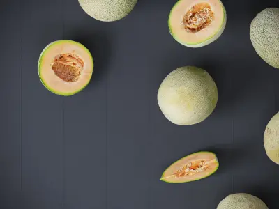 Melons 7 Models
