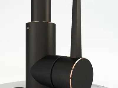 Hight detail Kitchen Faucet 3d model  Free 3D model