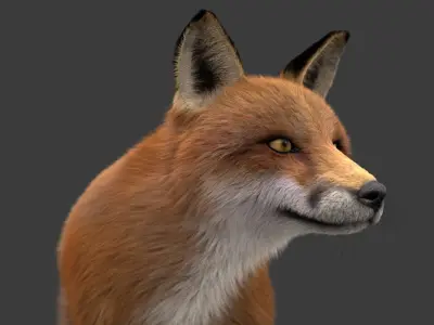  Fox (2) (Animated) (Fur) 