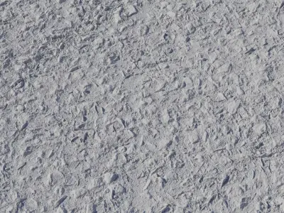 Forest Trail Dirt With Pebbles PBR Texture  Texture