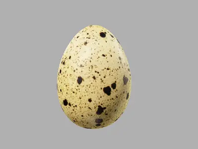 Three Quail Eggs - Photorealistic Scan Low-poly 3D model