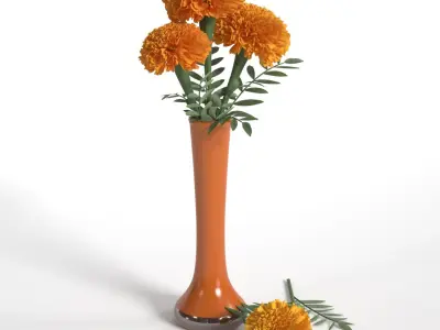  Marigolds 