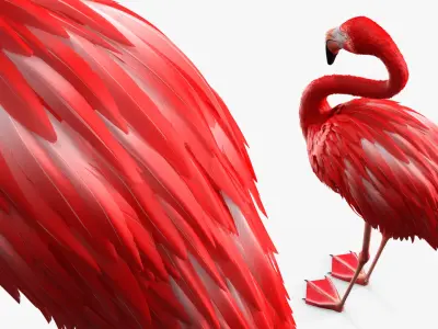  Exotic Bird Red Flamingo 