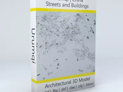 Urumqi Streets and Buildings 3D model