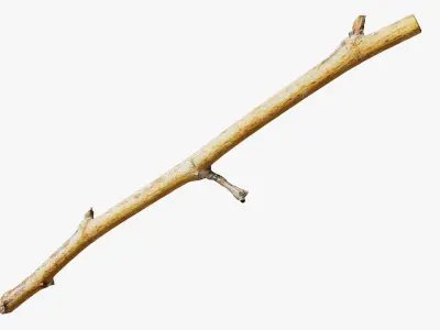  Scanned Sprigs Collection StemCell 