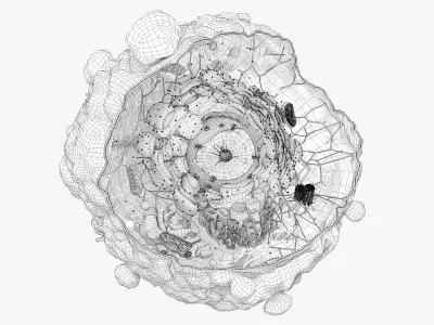  Cancer Cell Structure 