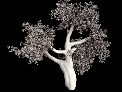 red maple tree 3D model