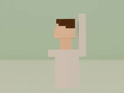 mine craft skibidi toilet 3D model