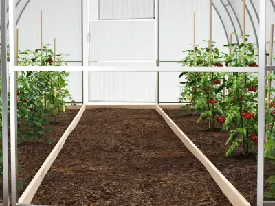 greenhouse made of glass and plastic 3D model