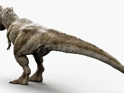  Tyrannosaurus Rex (Animated) (Rigged) 