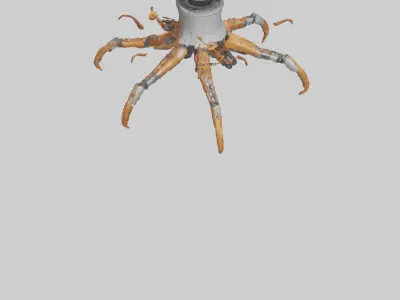 Robot version of a robot starfish model 3D model