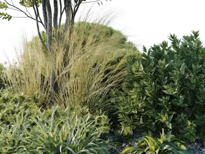 Outdoor Plants 3 3D model