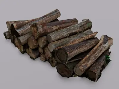 Wood 3D Model Low-poly 3D model