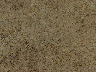 Dusty Park Soil With Leaf Litter PBR Texture Texture