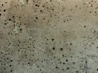 Concrete wall Old concrete  71 Texture