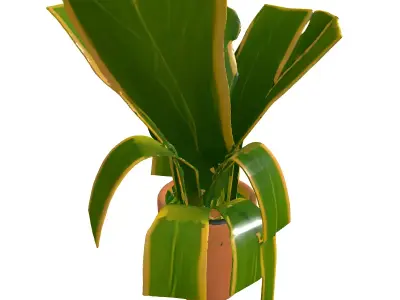 Potted Snake Plant Houseplant Low-poly 3D model