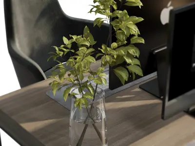 Manager Desk - Office Furniture - Plants Box Divider 16 Low-poly 3D model