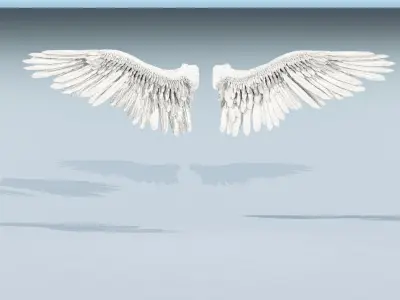  Highly Detailed RIGGED ANGEL or BIRD WINGS 