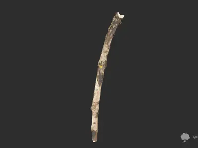 Wood stick 002 - Photogrammetry Low-poly 3D model
