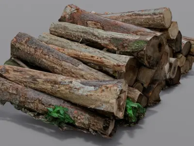 Wood 3D Model Low-poly 3D model