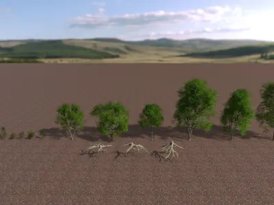 Forest Tree Set Low-poly 3D model