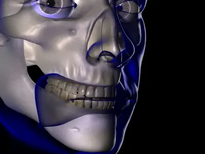 X-Ray Male Face 3D model