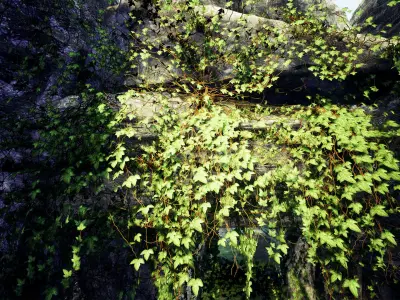 Ivy Plants 47 Assets Low-poly 3D model