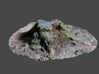 Tree Stump 2 3D model