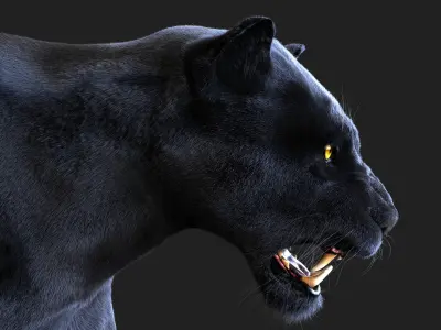  BLACK PANTHER ANIMATED XGEN-CORE 