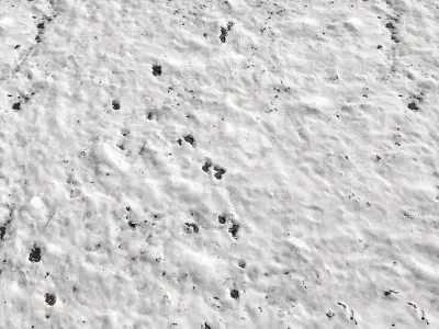 Snow ground Scan 10k 3D model