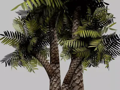 Palm-Tree palm tree 3D model