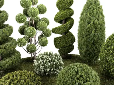 Groups of outdoor Decorative trees - Bushes - and Hedges 3D model