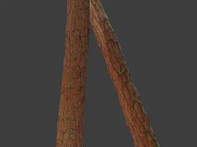Tree Trunk Stump Scanned Processed Free low-poly 3D model