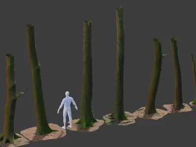 PBR 8x Beech Tree Trunk Real Scan Roots Collection Low-poly 3D model