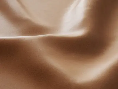 Natural leather 02 Texture