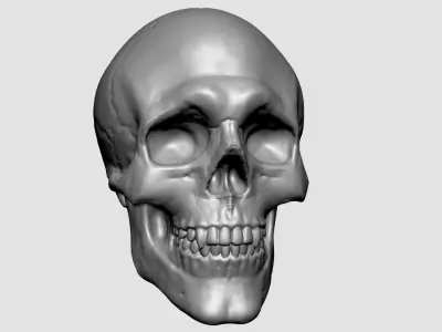 Skull for 3DPrint 3D print model
