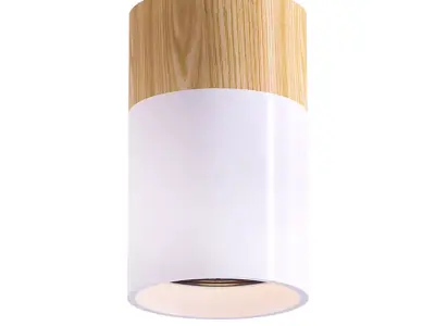 WOOD lamp 3D model get