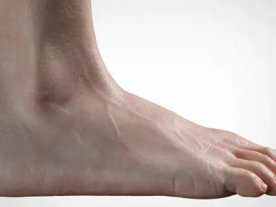  Feet Realistic 