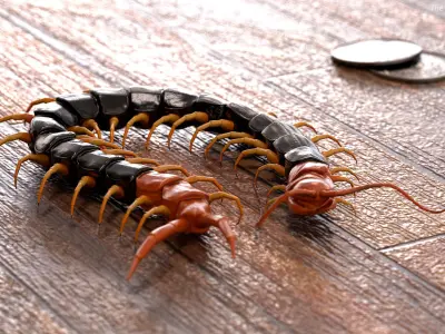  Insects Big Rigged Collection 5 