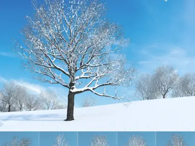  Eleven Trees 4 (+Growfx) 