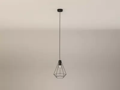 Industrial Wire Metal Ceiling Lamp Free 3D model