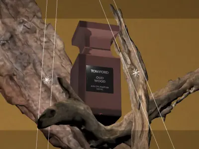 Tom Ford Perfume Product Scene Octane Render 3D model 3D model
