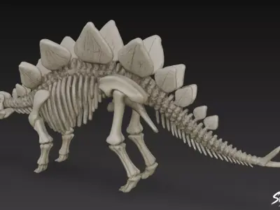Stegosaurus fossil Low-poly 3D model