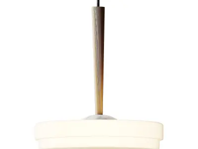 Trave Pendant Light from Bert Frank 3D model