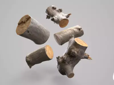 Silver Logs Pack  01- Stonelake3D Low-poly 3D model
