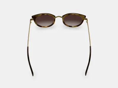 Angelise Sunglasses in Layered Marzipan Tortoise with Polished  3D model